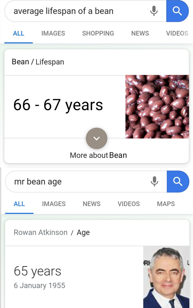 Rowan Atkinson - average lifespan of a bean All Images Shopping News Videos Bean Lifespan 66 67 years More about Bean mr bean age a All Images News Videos Maps Rowan Atkinson Age 65 years