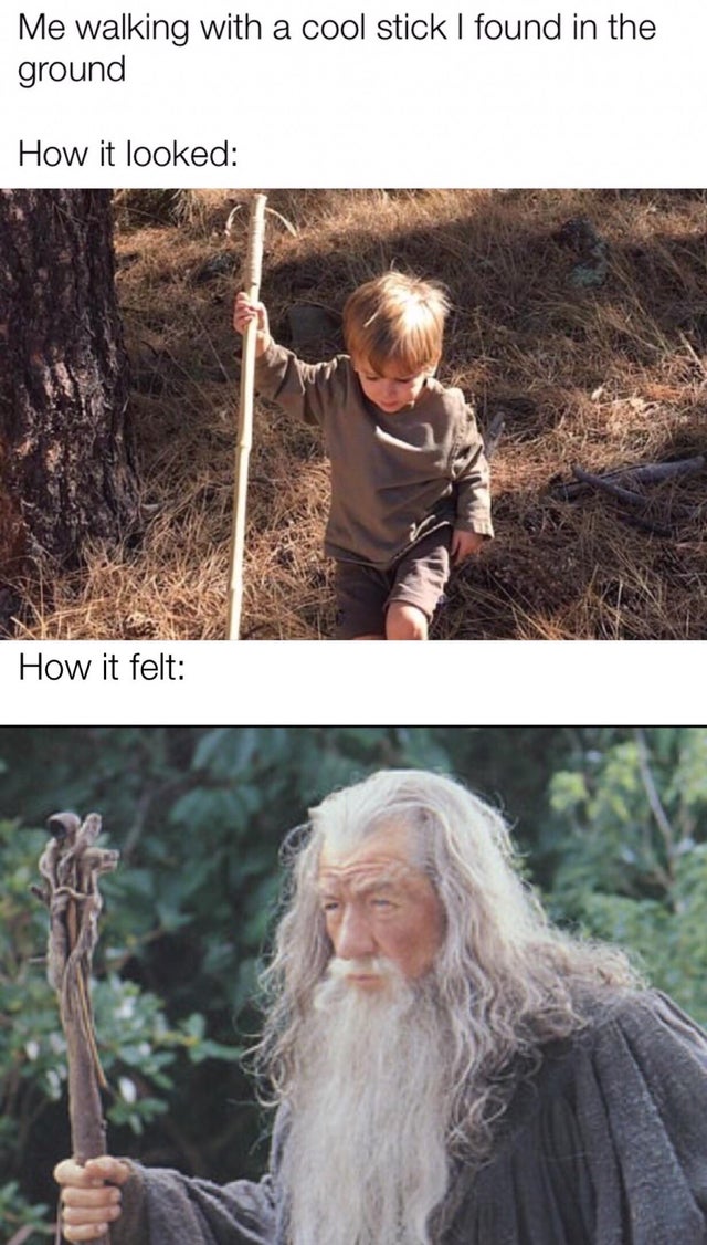lord of the rings gandalf - Me walking with a cool stick I found in the ground How it looked How it felt