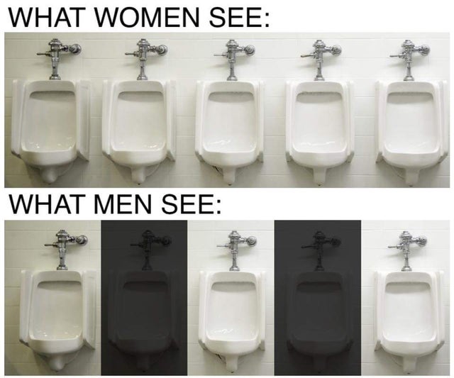 Internet meme - What Women See What Men See L
