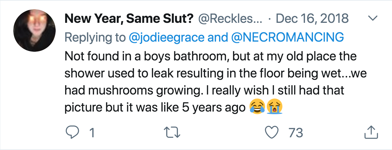 angle - New Year, Same Slut? ... and Not found in a boys bathroom, but at my old place the shower used to leak resulting in the floor being wet...we had mushrooms growing. I really wish I still had that picture but it was 5 years ago to 22 73 e 1