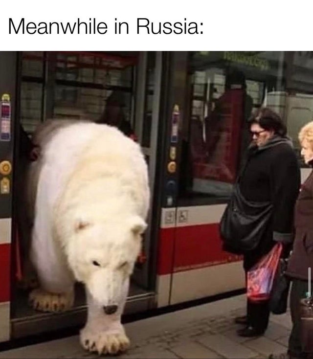 humpday - regular day in russia - Meanwhile in Russia