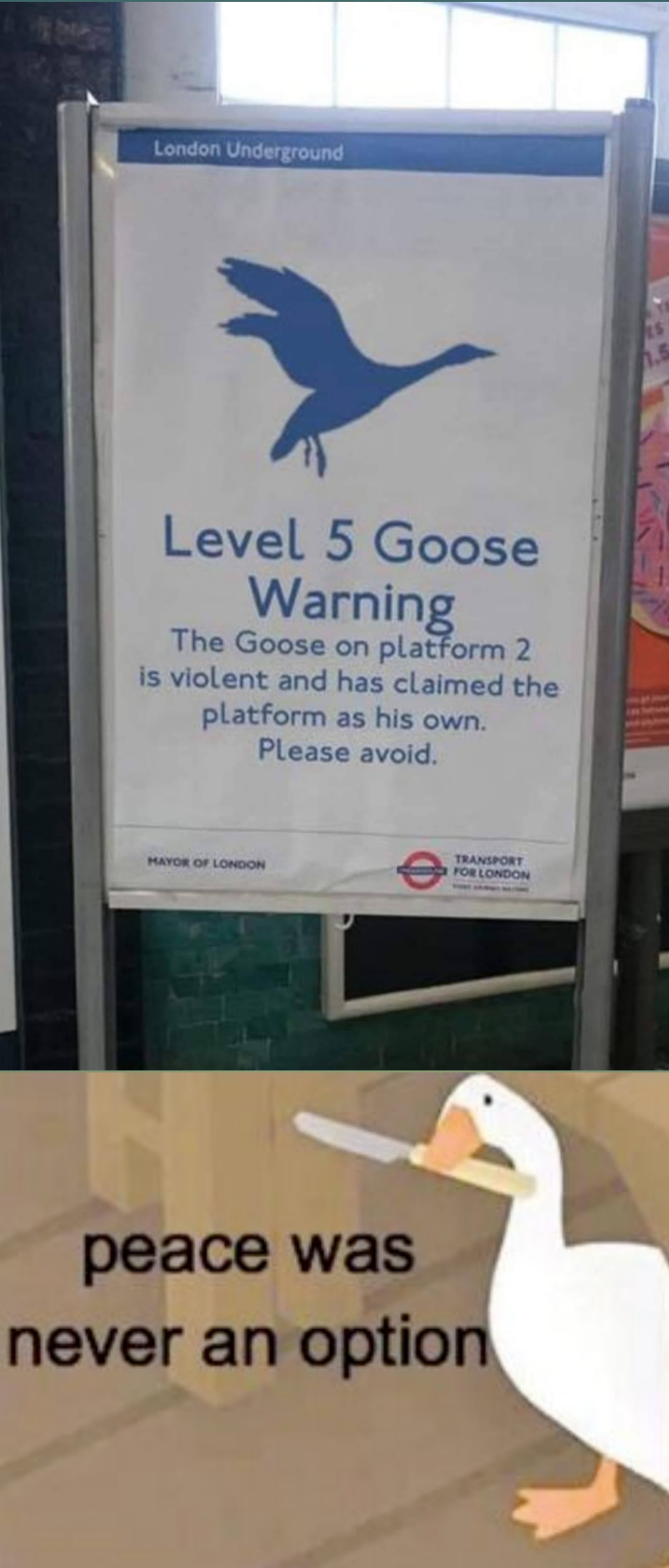 humpday - level 5 goose warning - Level 5 Goose Warning The Goose on platform 2 is violent and has claimed the platform as his own. Please avoid peace was never an option