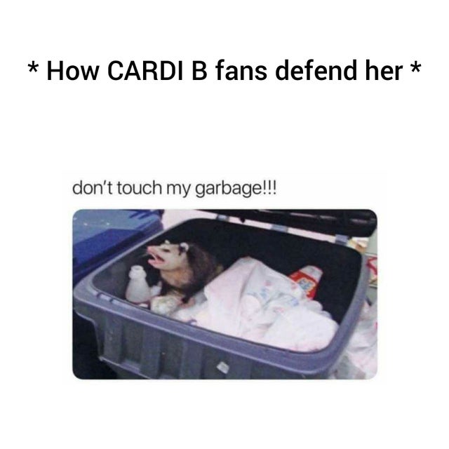 humpday - some of you look defending your man - How Cardi B fans defend her don't touch my garbage!!!