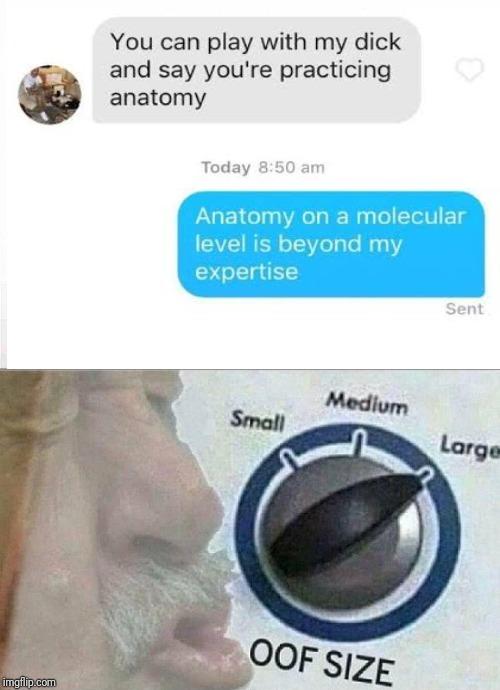 oof size large meme - anatomy and dick