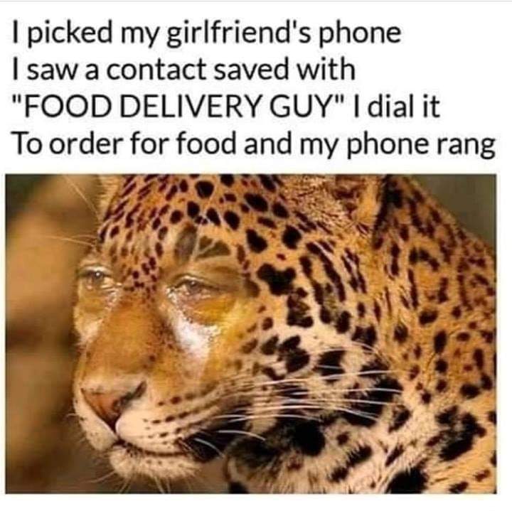 relationship meme - Photo of crying Michael Jordan on a cheetahs face with the text 'i picked my girlfriends phone i saw a contact saved with food delivery guy i dial it to order for food and my phone rang' funny relationship meme