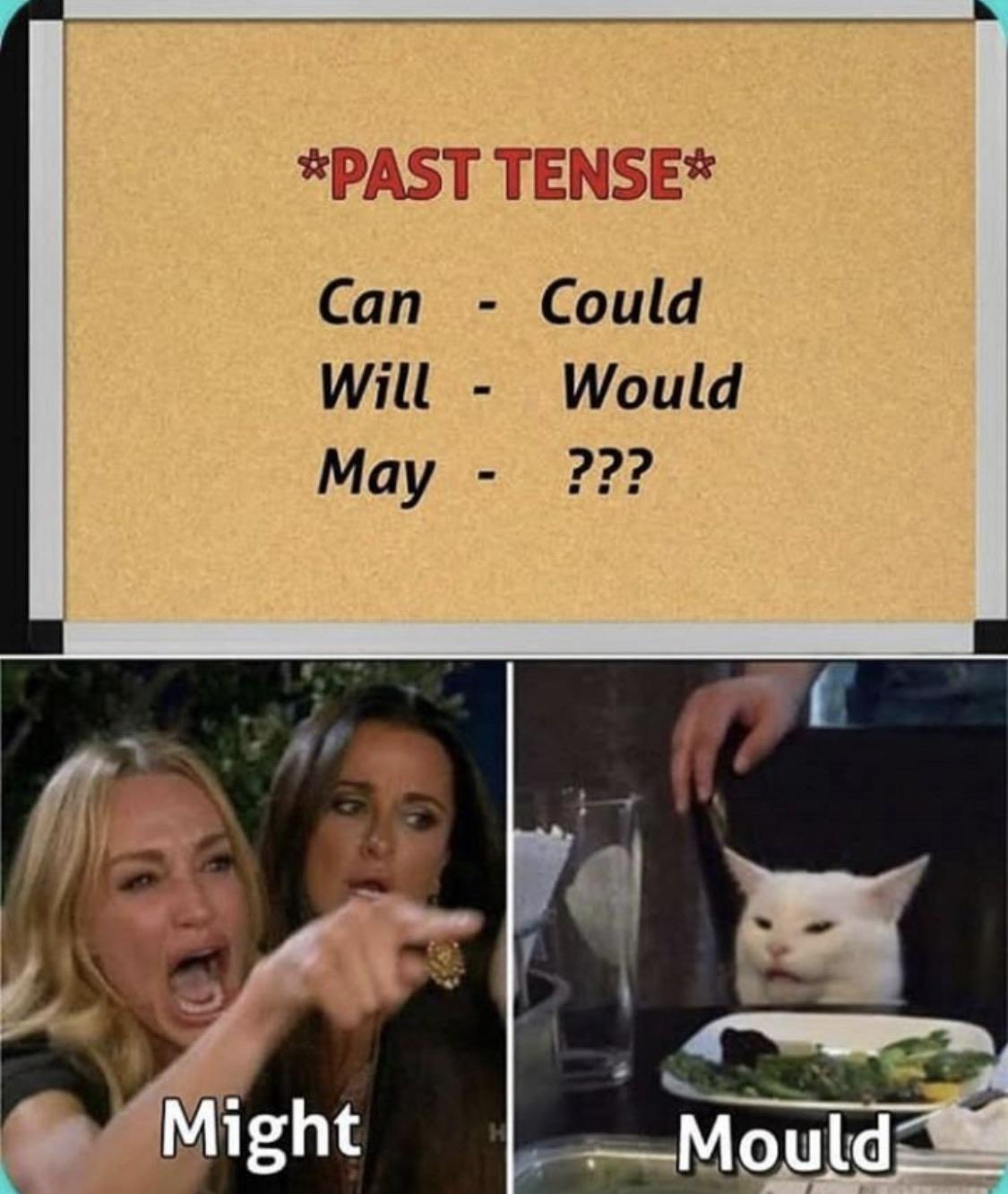 woman yelling at a cat meme that says 'past tense - can, could - will, would - may' and the woman is yelling 'might' and smudge the cat is saying 'mould'