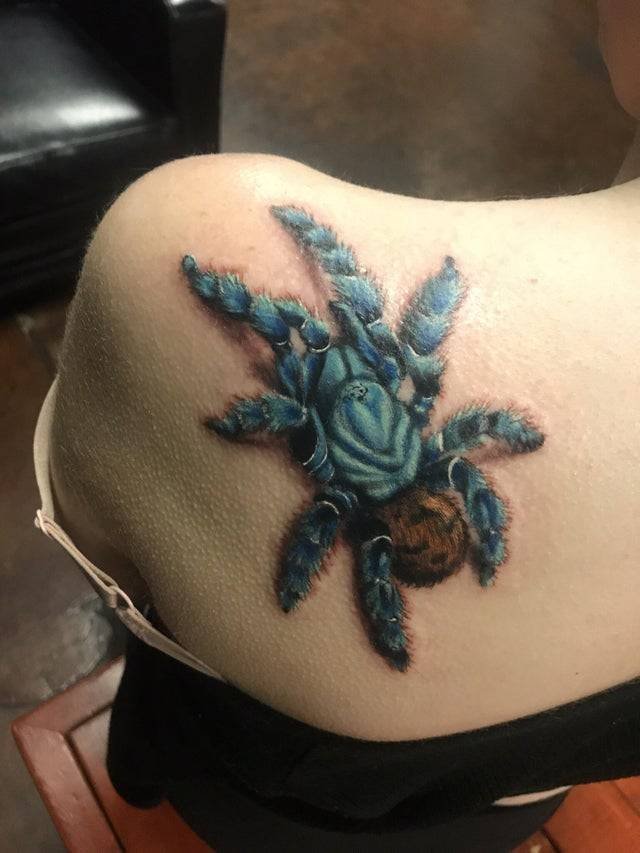 tarantula tattoo shoulder