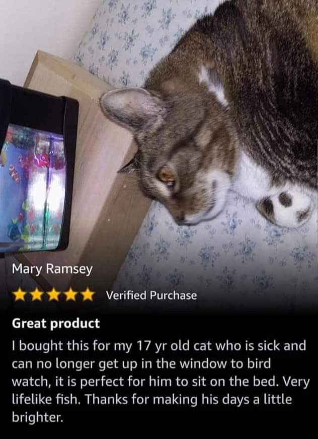 100 guarantee - Mary Ramsey Verified Purchase Great product I bought this for my 17 yr old cat who is sick and can no longer get up in the window to bird watch, it is perfect for him to sit on the bed. Very life fish. Thanks for making his days a little b