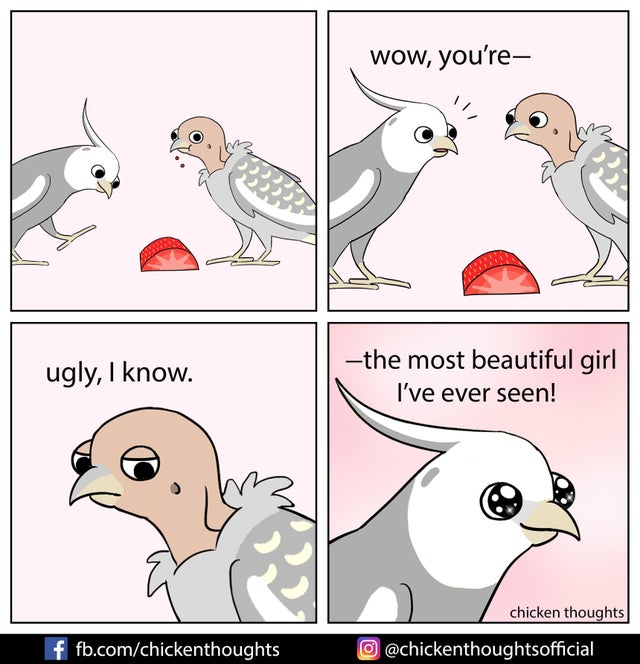 beak - wow, you're ugly, I know. the most beautiful girl I've ever seen! chicken thoughts f fb.comchickenthoughts O