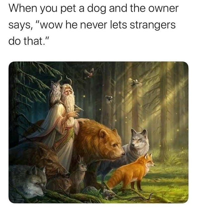 wholesome meme - When you pet a dog and the owner says, "wow he never lets strangers do that."