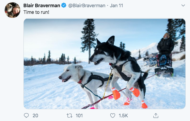 winter - Braverman. Jan 11 Blair Braverman Time to run! 20 101 o