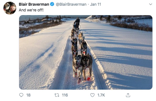 arctic - puni bravarman es aus Braverman Jan 11 Blair Braverman And we're off! 18 116