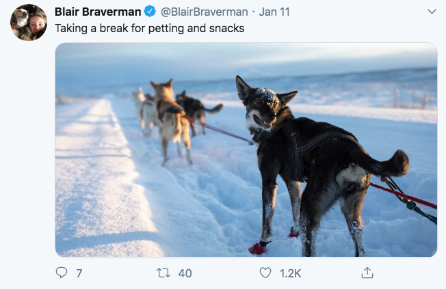 sled dog racing - Blair Braverman Braverman. Jan 11 Taking a break for petting and snacks 07 22 40