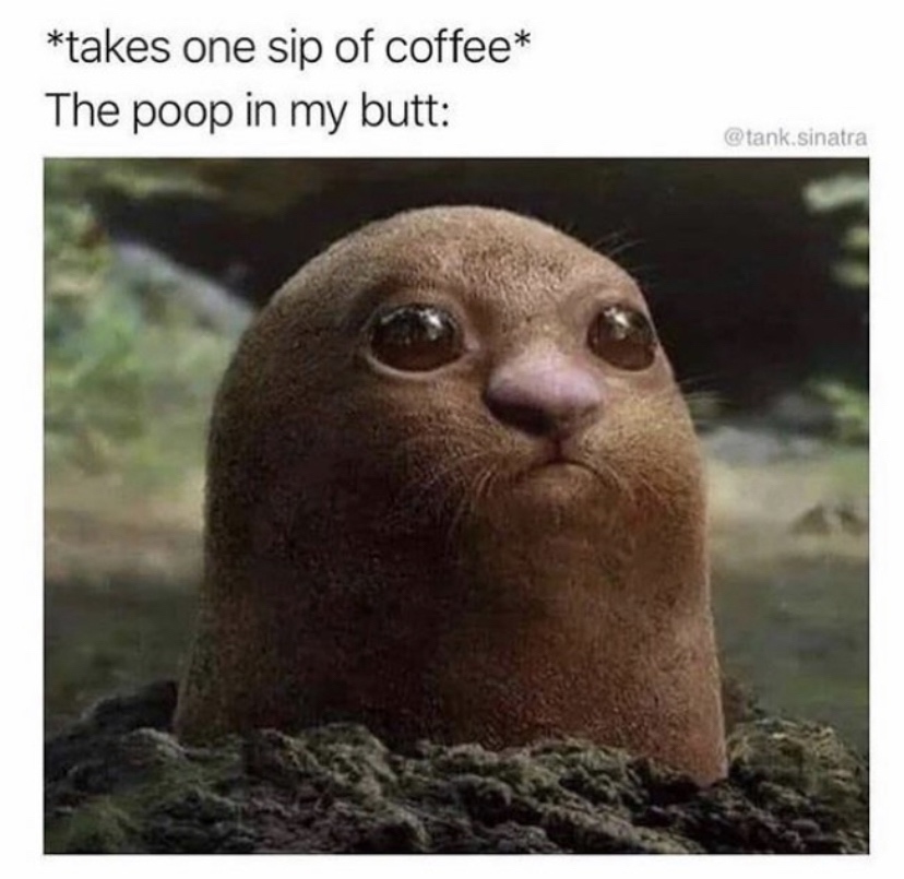 takes one sip of coffee meme - takes one sip of coffee The poop in my butt sinatra