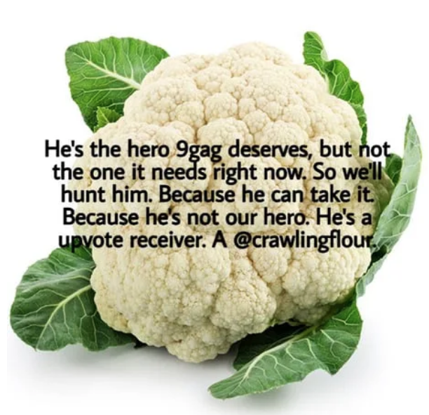 kobi flower - He's the hero 9gag deserves, but not the one it needs right now. So we'll hunt him. Because he can take it Because he's not our hero. He's a upvote receiver. A ,