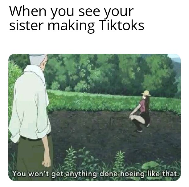 you won t get anything done hoeing meme - When you see your sister making Tiktoks You won't get anything done hoeing that.