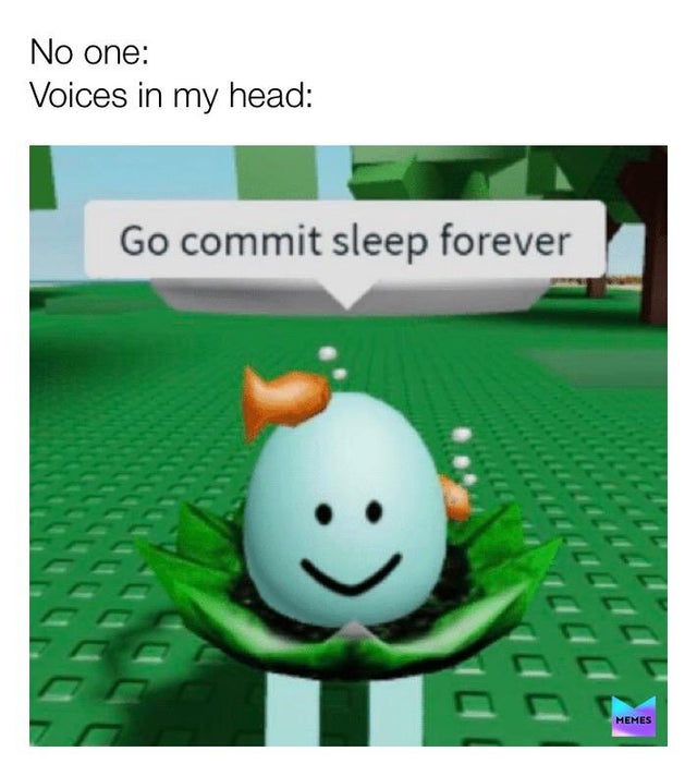 roblox funny - No one Voices in my head Go commit sleep forever Memes