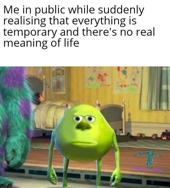 oh shit that's deep meme - Me in public while suddenly realising that everything is temporary and there's no real meaning of life