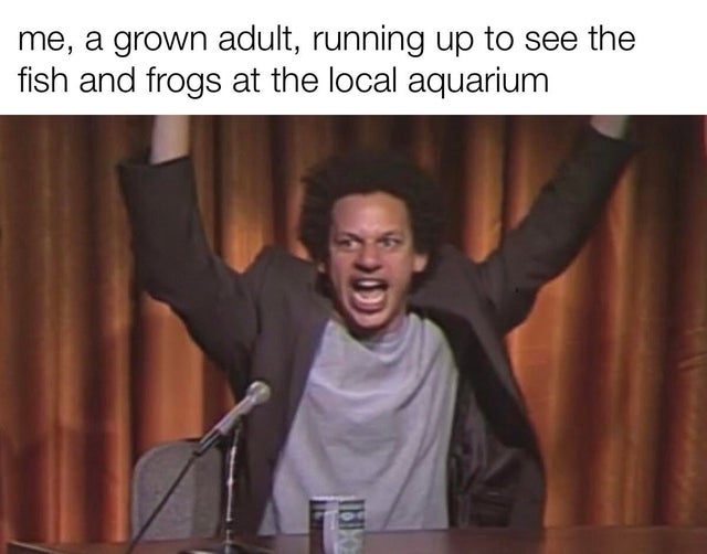 eric andre what if it was purple - me, a grown adult, running up to see the fish and frogs at the local aquarium