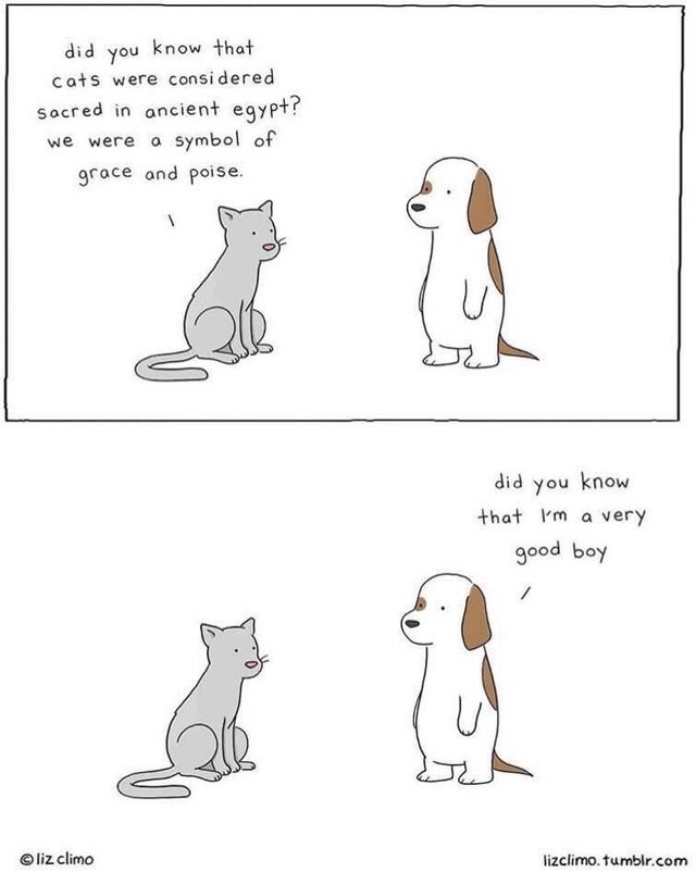 did you know that cats were considered - did you know that cats were considered Sacred in ancient egypt? we were a symbol of grace and poise. did you know that I'm a very good boy climo lizclimo.tumblr.com