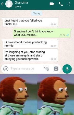 don t think you know what lol means - Grandma typing. Today Just heard that you failed you finals! Lol Grandma I don't think you know what Lol means... I know what it means you fucking normie 0258 I'm laughing at you, stop staring at those anime girls and