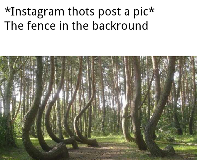meme  - Instagram thots post a pic The fence in the backround