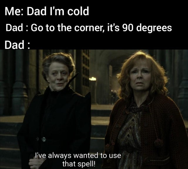meme  - piertotum locomotor - Me Dad I'm cold Dad Go to the corner, it's 90 degrees Dad I've always wanted to use that spell!