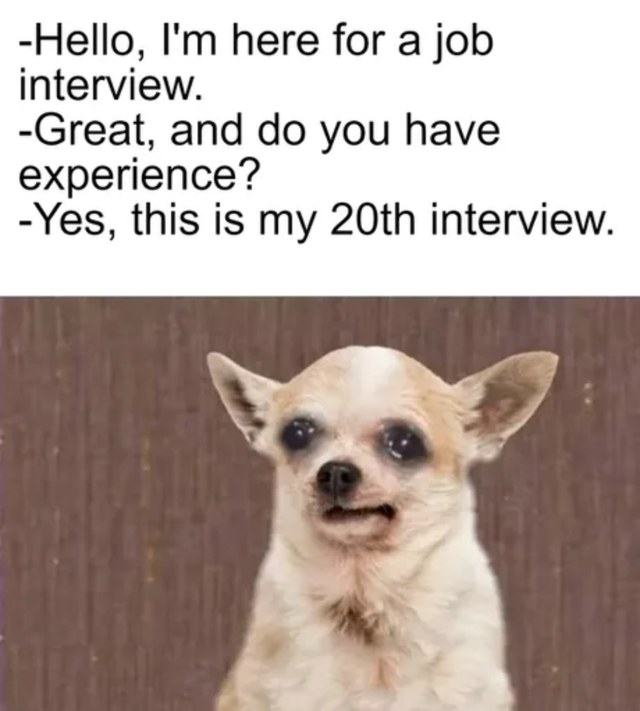 meme  - Interview - Hello, I'm here for a job interview. Great, and do you have experience? Yes, this is my 20th interview.
