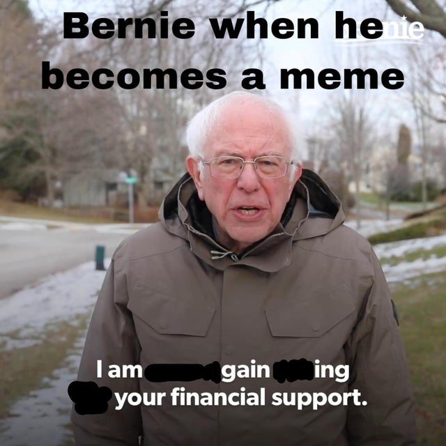 bernie sanders - Internet meme - Bernie when hele becomes a meme I am gain ing your financial support.