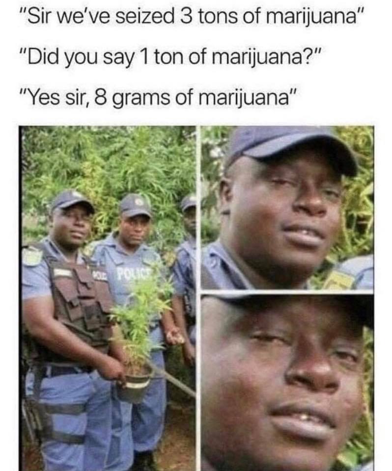 sir we ve seized 3 tons of marijuana - "Sir we've seized 3 tons of marijuana" "Did you say 1 ton of marijuana?" "Yes sir, 8 grams of marijuana"