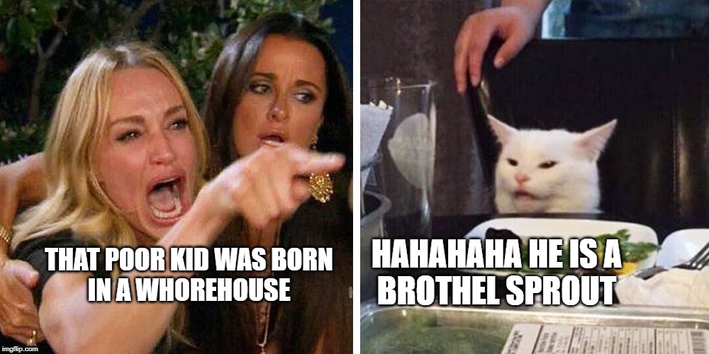 smudge the cat meme - That Poor Kid Was Born In A Whorehouse Hahahaha He Is A Brothel Sprout