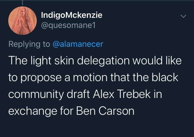 presentation - Indigo Mckenzie The light skin delegation would to propose a motion that the black community draft Alex Trebek in exchange for Ben Carson