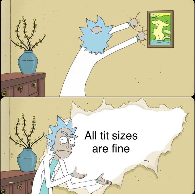 rick ripping wall meme - All tit sizes are fine An tit sizes