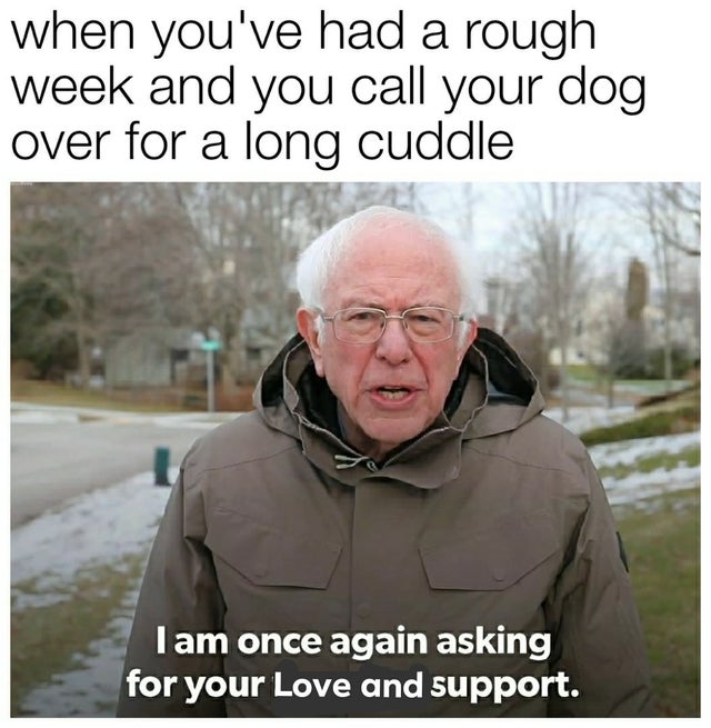 wholesome - Internet meme - when you've had a rough week and you call your dog over for a long cuddle Tam once again asking for your Love and support.