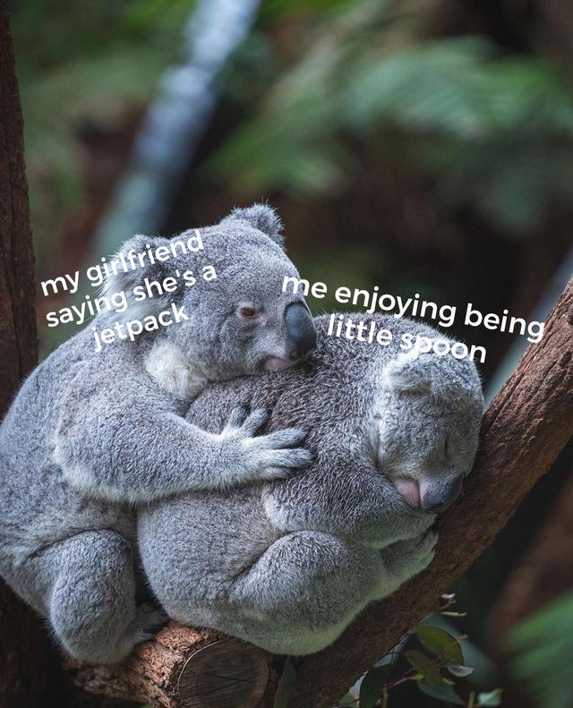 wholesome - koala hug - me enjoying being my girlfriend saying she's a little spoon jetpack