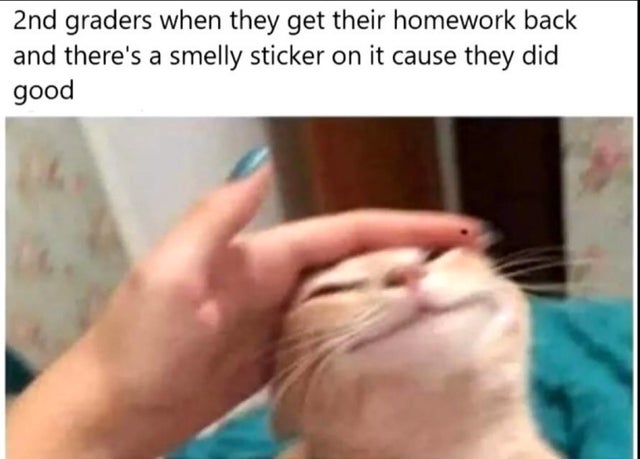 wholesome - funny memes students - 2nd graders when they get their homework back and there's a smelly sticker on it cause they did good