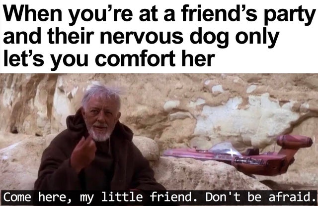 wholesome - general kenobi you are a old one - When you're at a friend's party and their nervous dog only let's you comfort her Come here, my little friend. Don't be afraid.