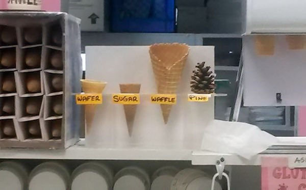 funny outrageous signs - Wafer Sugar Waffle Pine As Glut