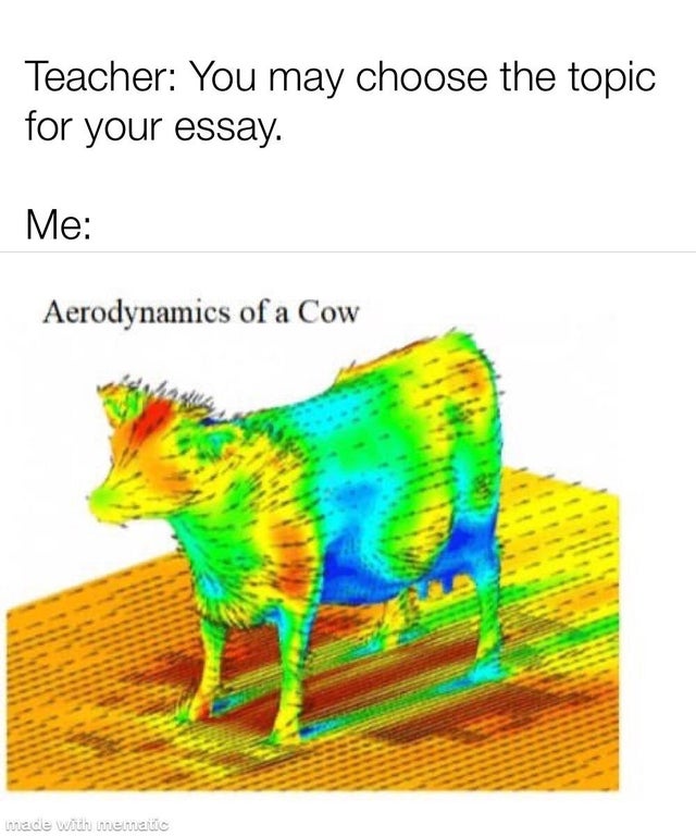 dank meme - aerodynamics of a cow - Teacher You may choose the topic for your essay Me Aerodynamics of a Cow made with mematic