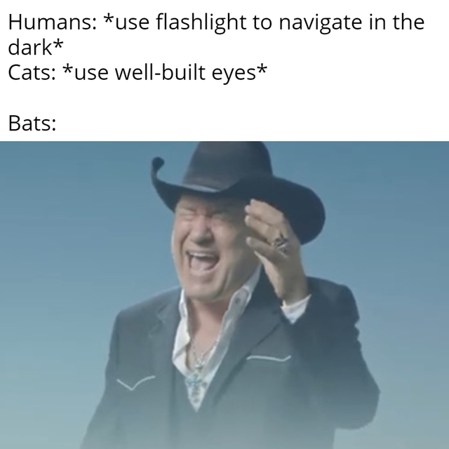 dank meme - screaming cowboy meme - Humans use flashlight to navigate in the dark Cats use wellbuilt eyes Bats