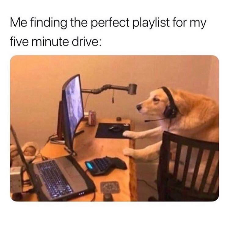 perfect playlist meme - Me finding the perfect playlist for my five minute drive