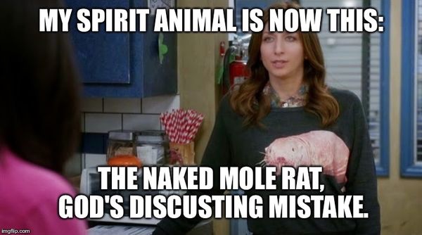 dark meme - gina linetti mole rat - My Spirit Animal Is Now This The Naked Mole Rat, God'S Discusting Mistake. imgflip.com
