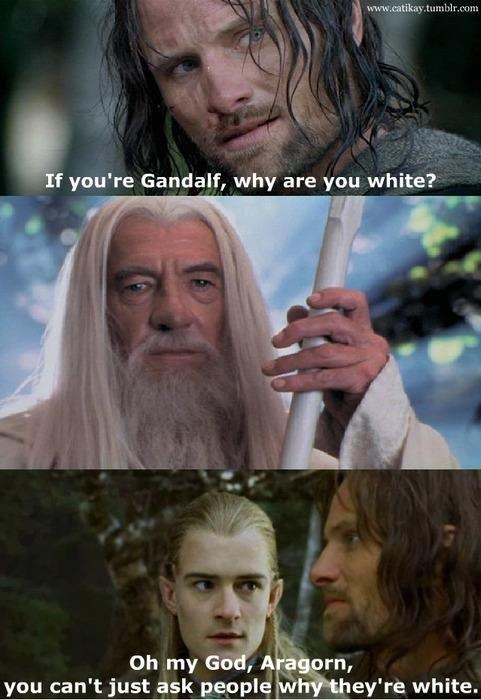 lotr meme - crcr - If you're Gandalf, why are you white? Oh my God, Aragorn, you can't just ask people why they're white.