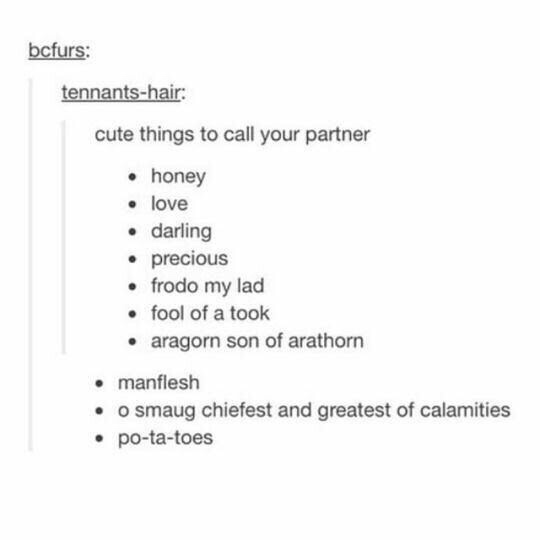 lotr meme - cute things to call your boyfriend - bcfurs tennantshair cute things to call your partner honey love darling precious frodo my lad fool of a took aragorn son of arathorn manflesh o smaug chiefest and greatest of calamities potatoes