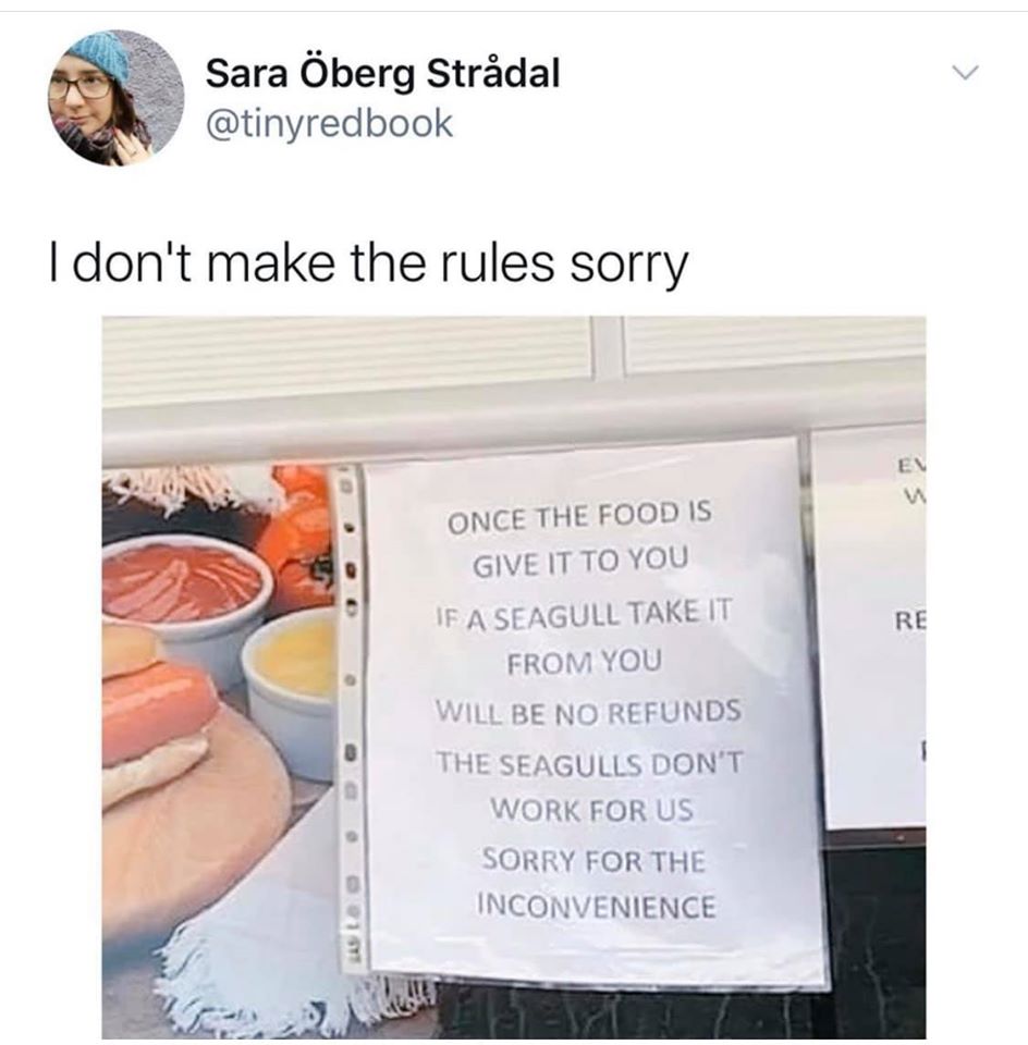no refund or return policy food - Sara berg Strdal I don't make the rules sorry Re Once The Food Is Give It To You If A Seagull Take It From You Will Be No Refunds The Seagulls Don'T Work For Us Sorry For The Inconvenience Asta