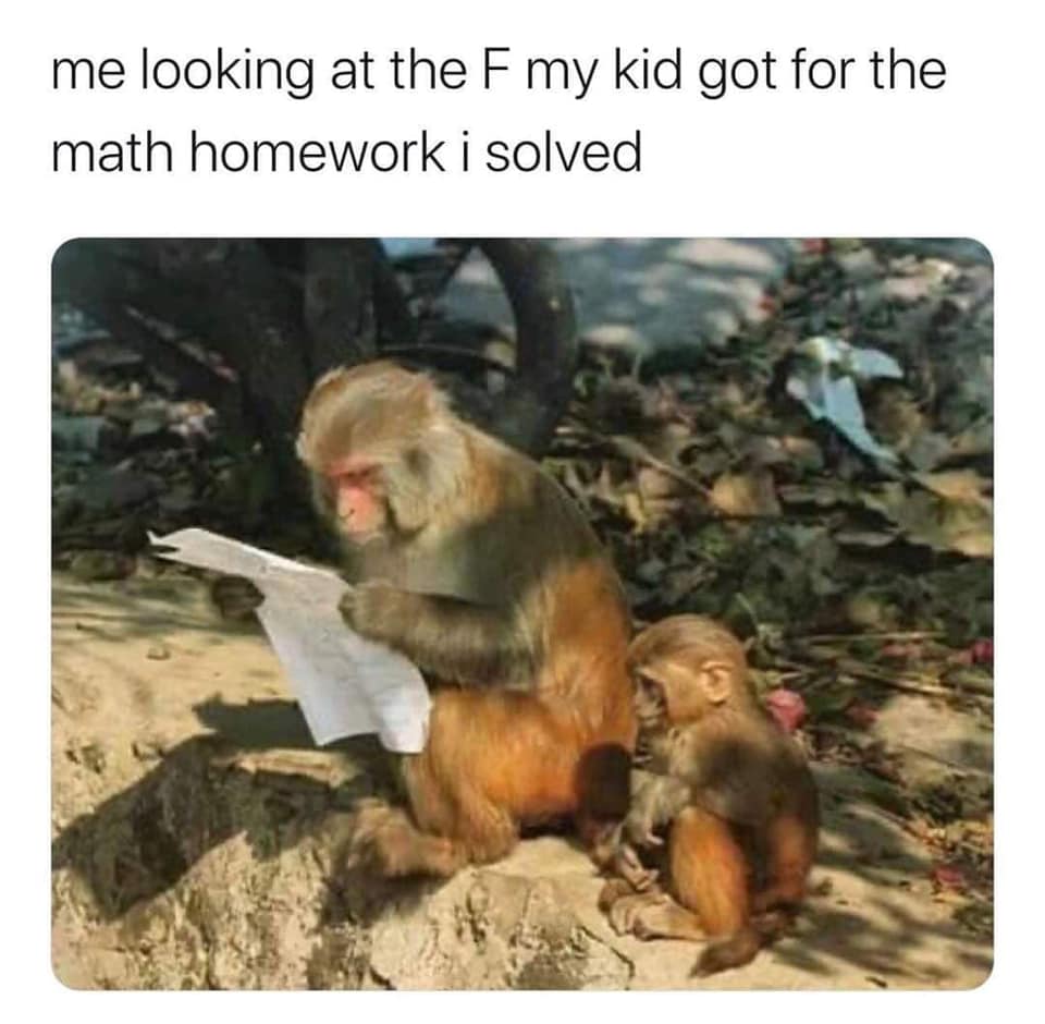 monkey reading paper - me looking at the F my kid got for the math homework i solved