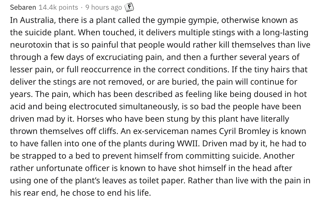 angle - Sebaren points 9 hours ago F In Australia, there is a plant called the gympie gympie, otherwise known as the suicide plant. When touched, it delivers multiple stings with a longlasting neurotoxin that is so painful that people would rather kill th