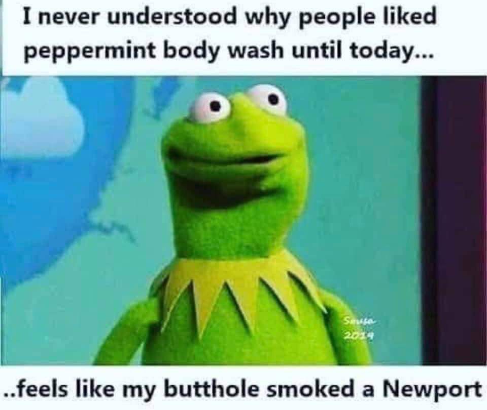 kermit meme peppermint body wash - I never understood why people d peppermint body wash until today... ..feels my butthole smoked a Newport