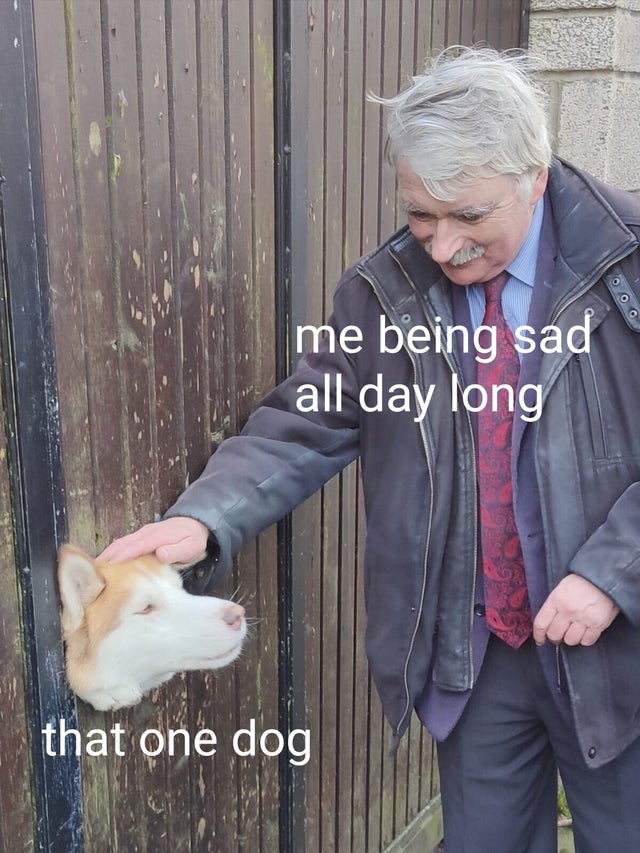wholesome - pet - Ooo me being sad all day long that one dog