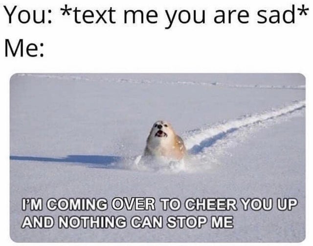 wholesome - i m coming to cheer you up and nothing can stop me - You text me you are sad Me I'M Coming Over To Cheer You Up And Nothing Can Stop Me
